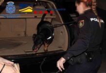 Cae una banda que estafó más de 8.000.000 € Cae una banda que estafó más de 8.000.000 € mediante técnicas de ingeniería social