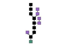 Como funciona la cadena de bloques Como funciona la cadena de bloques