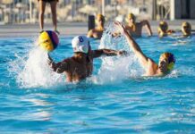 Barcelona, intensivo entrenamiento de Waterpolo Barcelona, intensivo entrenamiento de Waterpolo