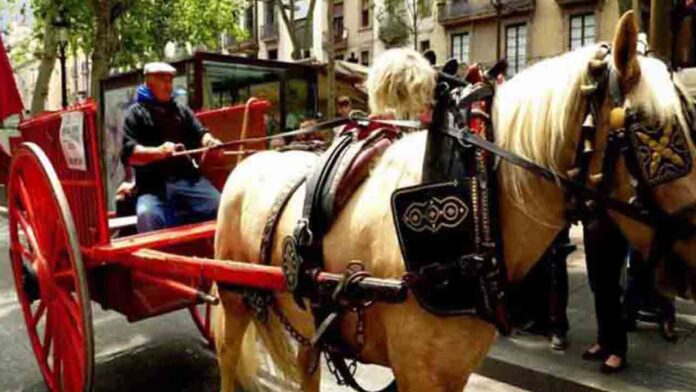 Se acaban los paseos en carrozas de caballos en Barcelona