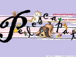 Como convertirse en un padre adoptivo de animales Como convertirse en un padre adoptivo de animales