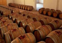 Qué hacer en Vilafranca del Penedès Qué hacer en Vilafranca del Penedès