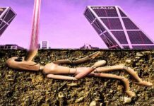 Hasta donde llega la corrupción de los políticos Hasta donde llega la corrupción de los políticos