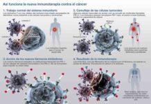Nueva terapia reactiva contra el cáncer mediante el bloqueo de proteínas Nueva terapia reactiva contra el cáncer