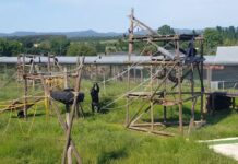 Chimpancés maltratados viven retirados en un santuario de Girona Chimpancés maltratados viven retirados en un santuario de Girona