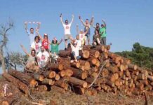 Los intereses de Florentino Pérez por la ampliación de la C32 Los intereses de Florentino Pérez por la ampliación de la C32