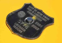 Cuánto vale ahora una licencia de taxi en Nueva York? Cuánto vale ahora una licencia de taxi en Nueva York?