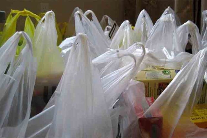 Alemania prohibirá las bolsas de plástico a mitad del próximo año