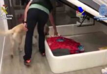 Desarticulada una red de narcotráfico que operaba en la provincia de Huelva Desarticulada una red de narcotráfico que operaba en la provincia de Huelva