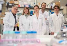 Descubren las bases moleculares de la predisposición genética a la leucemia Descubren las bases moleculares de la predisposición genética a la leucemia