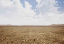 El cambio climático puede reducir la capacidad del suelo para absorber agua El cambio climático puede reducir la capacidad del suelo para absorber agua