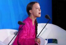 La cumbre climática de Nueva York marcada por la intervención de Greta Thunberg La cumbre climática de Nueva York marcada por la intervención de Greta Thunberg