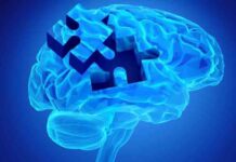 Se descubren dos nuevos genes implicados en el Alzheimer Se descubren dos nuevos genes implicados en el Alzheimer