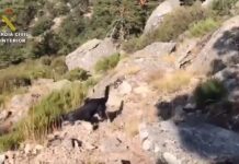 Sin pistas en la búsqueda de Blanca Fernández Ochoa Sin pistas en la búsqueda de Blanca Fernández Ochoa