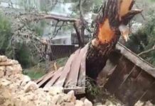 Graves daños en Ibiza por el temporal en la zona de Sant Antoni Graves daños en Ibiza por el temporal en la zona de Sant Antoni