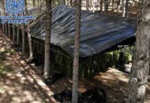 Hallado un campamento de marihuana en el Parque Natural Serranía de Cuenca Hallado un campamento de marihuana en el Parque Natural Serranía de Cuenca