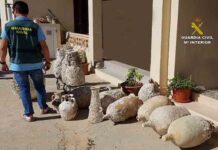 Recuperadas más de 100 piezas expoliadas de yacimientos subacuáticos de Formentera Recuperadas más de 100 piezas expoliadas de yacimientos subacuáticos de Formentera