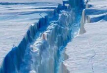 Se desprende de la Antártida un gigantesco iceberg Se desprende de la Antártida un gigantesco iceberg