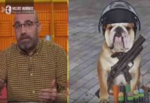 TV3 pide disculpas por llamar a los Mossos «putos perros de mierda» TV3 pide disculpas por llamar a los Mossos "putos perros de mierda"