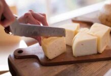 Nuevo brote de listeria en una partida de quesos en Gipuzkoa Nuevo brote de listeria en una partida de quesos en Gipuzkoa