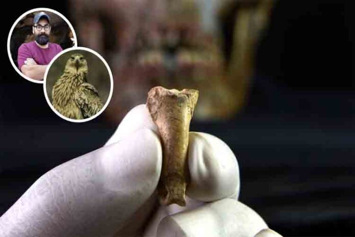 último collar hecho por los Neandertales