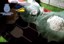 Desarticulada una red de prostitución que operaba entre Barcelona y Rumanía Desarticulada una red de prostitución que operaba entre Barcelona y Rumanía