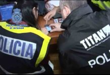 Detenidas 61 personas en un operativo internacional contra las mulas de dinero Detenidas 61 personas en un operativo internacional contra las mulas de dinero