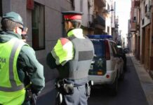 Intervenidos más de 21 kilos de cocaína pura impregnada en abono orgánico Intervenidos más de 21 kilos de cocaína pura impregnada en abono orgánico