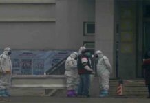 Detectado en primer caso de coronavirus en EE.UU. Detectado en primer caso de coronavirus en EE.UU., fuera de Asia