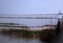El temporal engulle el Delta del Ebro y cambia su geografía El temporal engulle el Delta del Ebro y cambia su geografía