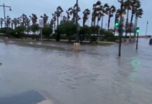 Cerrado el puerto de Valencia y varias carreteras cortadas por el temporal Cerrado el puerto de Valencia y varias carreteras cortadas por el temporal