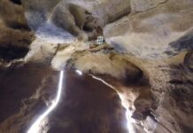 Altamira Catalana: Un descubrimiento de 15.000 años de antigüedad Altamira Catalana: Un descubrimiento de 15.000 años de antigüedad