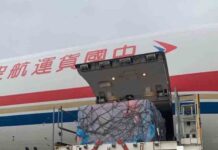 Llegan a España las donaciones de China para hacer frente al coronavirus Llegan a España las donaciones de China para hacer frente al coronavirus