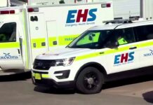 Un hombre armado mata a 16 personas en Canadá Un hombre armado mata a 16 personas en Canadá