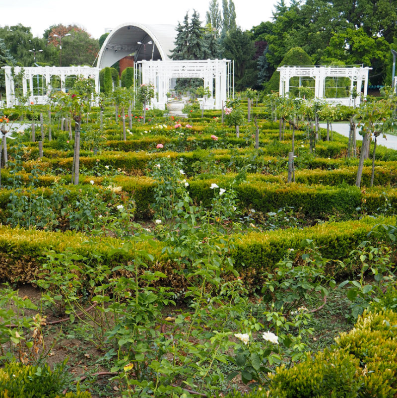 Jardines de Timișoara