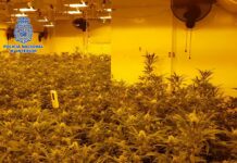 La policía incauta 160 kilos de marihuana y detiene a 17 personas La policía incauta 160 kilos de marihuana y detiene a 17 personas