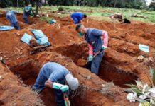 Actualización mundial de coronavirus: El Covid-19 ha matado a 439.000 personas Actualización mundial de coronavirus
