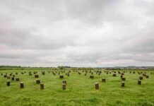 Descubren un círculo neolítico de 2 kilómetros de diámetro en Reino Unido Descubren un círculo neolítico de 2 kilómetros de diámetro en Reino Unido al lado de Stonehenge