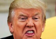 Trump y su demencia de la conspiración sobre el empujón del policía de Buffalo