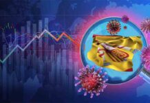 El nuevo virus económico (DDD-20) El nuevo virus económico (DDD-20)