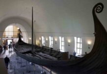 Los vikingos tenían viruela y pudieron haber ayudado a propagar el virus más mortal del mundo Los vikingos tenían viruela y pudieron haber ayudado a propagar el virus más mortal del mundo