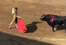 El Ayuntamiento de Alcalá exige a Ayuso que actúe ante las corridas de toros Alcalá de Henares exige a Ayuso que actúe ante las corridas de toros previstas para el fin de semana