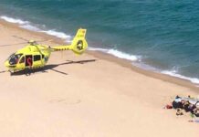 Un pez araña picó al chico de 16 años que murió en Playa de Aro cuando hacía snorkel Un pez araña picó al chico de 16 años que murió en Playa de Aro cuando hacía snorkel