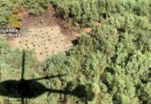 Detenido uno de implicados en el tiroteo a 3 guardias civiles en la Sierra de Cádiz Detenido uno de implicados en el tiroteo a 3 guardias civiles en la Sierra de Cádiz