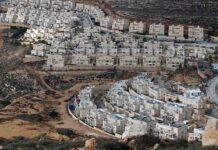 El Gobierno de Israel quiere construir nuevas viviendas en los asentamientos El Gobierno de Israel quiere construir nuevas viviendas en los asentamientos