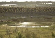 El Seprona investiga a 7 personas vinculadas al Espacio Natural de Doñana El Seprona investiga a 7 personas vinculadas al Espacio Natural de Doñana