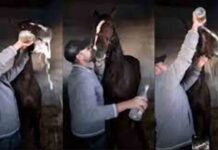 Un personaje hace beber una botella de champán a un caballo después de una carrera Un personaje hace beber una botella de champán a un caballo después de una carrera