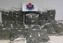 La Ertzaintza intercepta en Abadiño un cargamento de marihuana procedente de Italia La Ertzaintza intercepta en Abadiño un cargamento de marihuana procedente de Italia