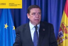 Estabilidad en el sector pesquero tras el acuerdo del Brexit Estabilidad en el sector pesquero tras el acuerdo del Brexit