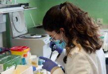 Llega al mercado el test de anticuerpos de COVID-19 del CSIC Llega al mercado el test de anticuerpos de COVID-19 del CSIC, con una fiabilidad de casi el 100%